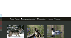 Desktop Screenshot of jamestjones.com